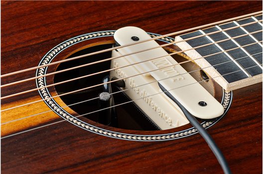 NV Tone Swan XT (External) Ivory