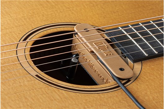 NV Tone Swan XT (External) Mocca