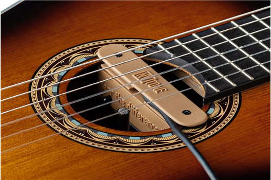 NV Tone Swan XT (External) Mocca