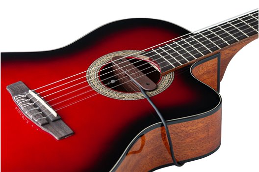 NV Tone Swan XT (External) Rosewood