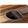 NV Tone Swan XT (External) Rosewood