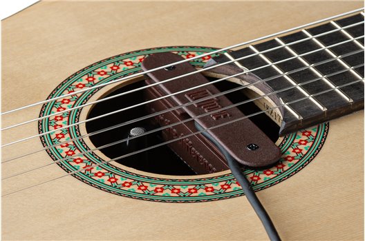 NV Tone Swan XT (External) Rosewood