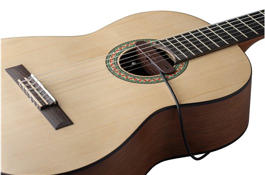 NV Tone Swan XT (External) Rosewood