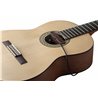 NV Tone Swan XT (External) Rosewood