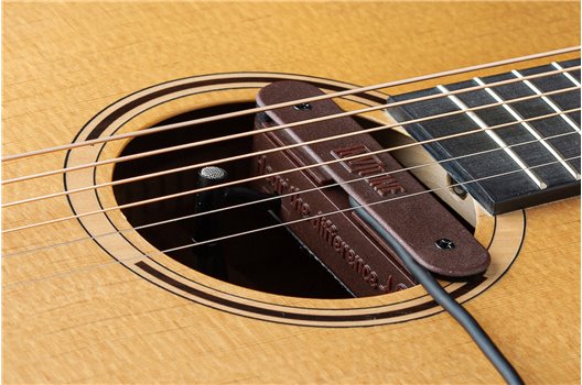 NV Tone Swan XT (External) Rosewood