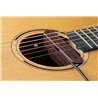NV Tone Swan XT (External) Rosewood