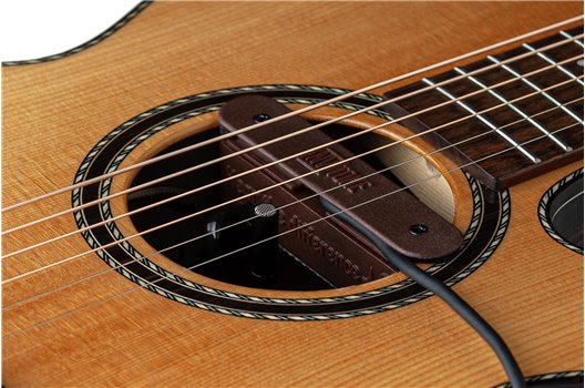 NV Tone Swan XT (External) Rosewood