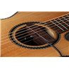 NV Tone Swan XT (External) Rosewood
