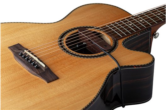 NV Tone Swan XT (External) Rosewood