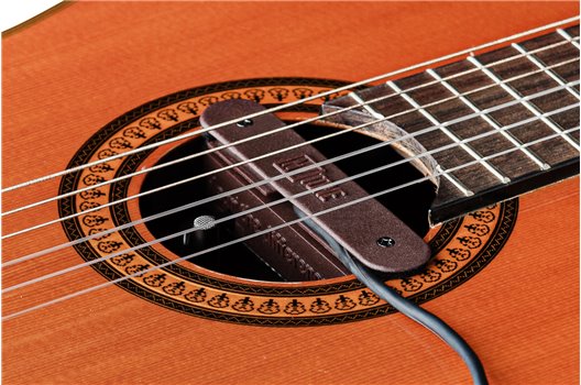 NV Tone Swan XT (External) Rosewood