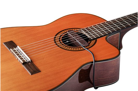 NV Tone Swan XT (External) Rosewood