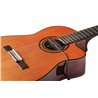 NV Tone Swan XT (External) Rosewood