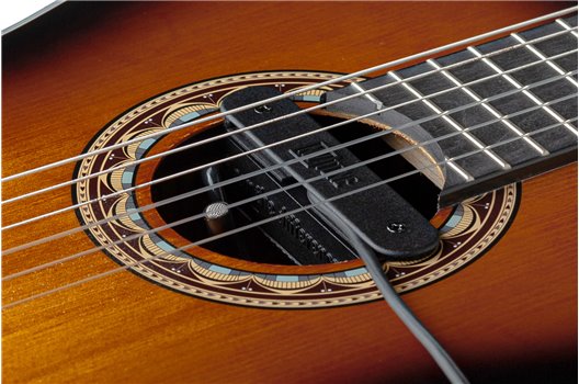 NV Tone Swan XT (External) Ebony