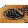 NV Tone Swan XT (External) Ebony