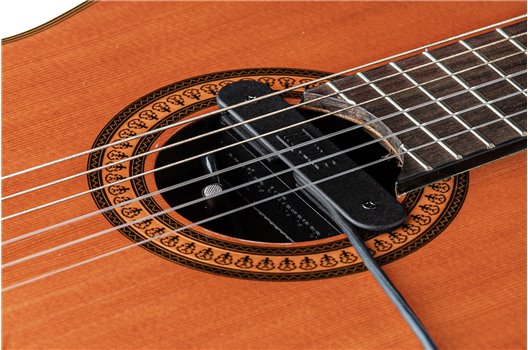 NV Tone Swan XT (External) Ebony