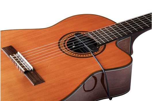 NV Tone Swan XT (External) Ebony