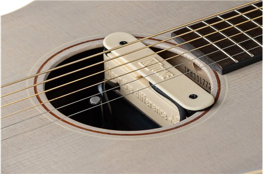 NV Tone Swan XT (Integrated) Ivory