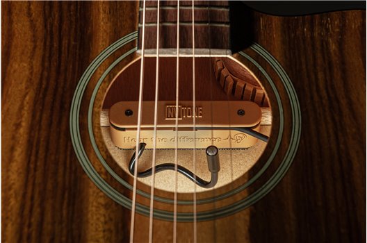 NV Tone Swan XT (Integrated) Mocca