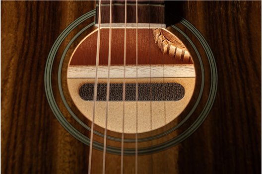 NV Tone Swan XT (Integrated) Rosewood