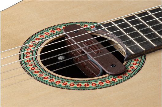 NV Tone Swan XT (Integrated) Rosewood