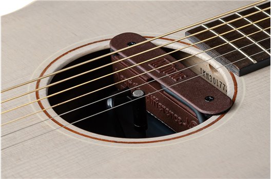 NV Tone Swan XT (Integrated) Rosewood