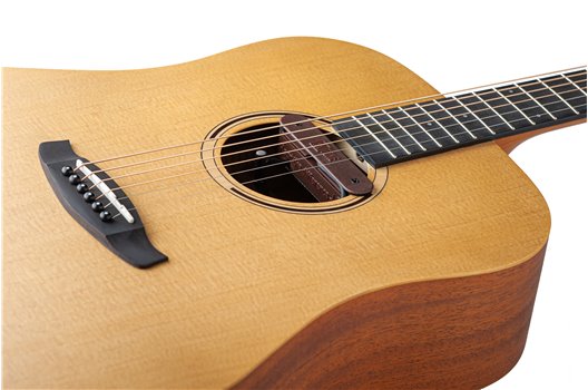 NV Tone Swan XT (Integrated) Rosewood