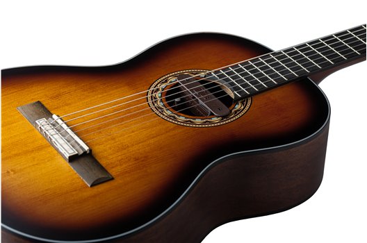 NV Tone Swan XT (Integrated) Rosewood