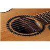 NV Tone Swan XT (Integrated) Rosewood