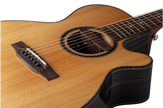 NV Tone Swan XT (Integrated) Rosewood