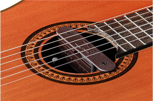 NV Tone Swan XT (Integrated) Rosewood