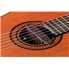 NV Tone Swan XT (Integrated) Rosewood