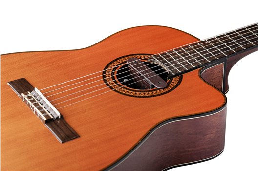 NV Tone Swan XT (Integrated) Rosewood