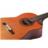 NV Tone Swan XT (Integrated) Rosewood