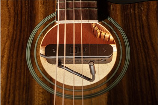 NV Tone Swan XT (Integrated) Ebony