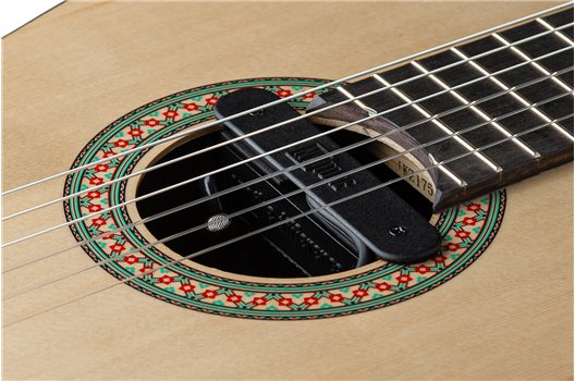 NV Tone Swan XT (Integrated) Ebony