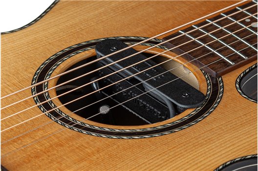 NV Tone Swan XT (Integrated) Ebony