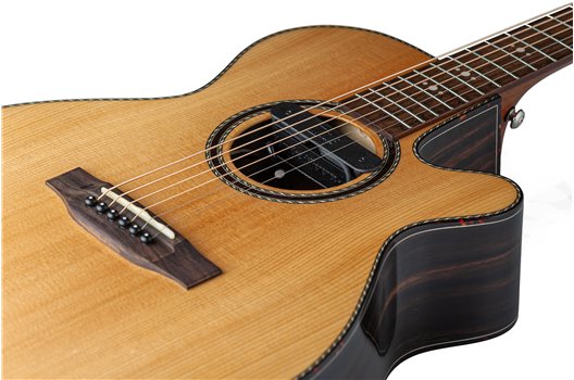 NV Tone Swan XT (Integrated) Ebony