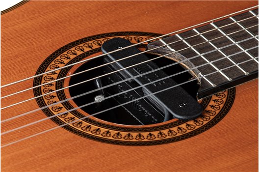 NV Tone Swan XT (Integrated) Ebony