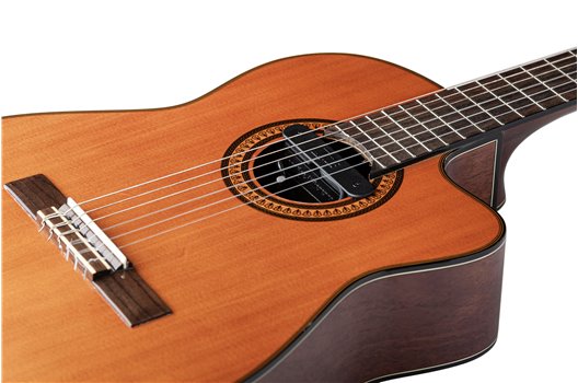 NV Tone Swan XT (Integrated) Ebony