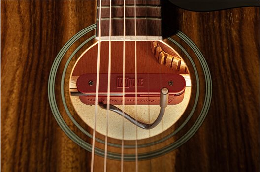 NV Tone Swan XT (Integrated) Maroon